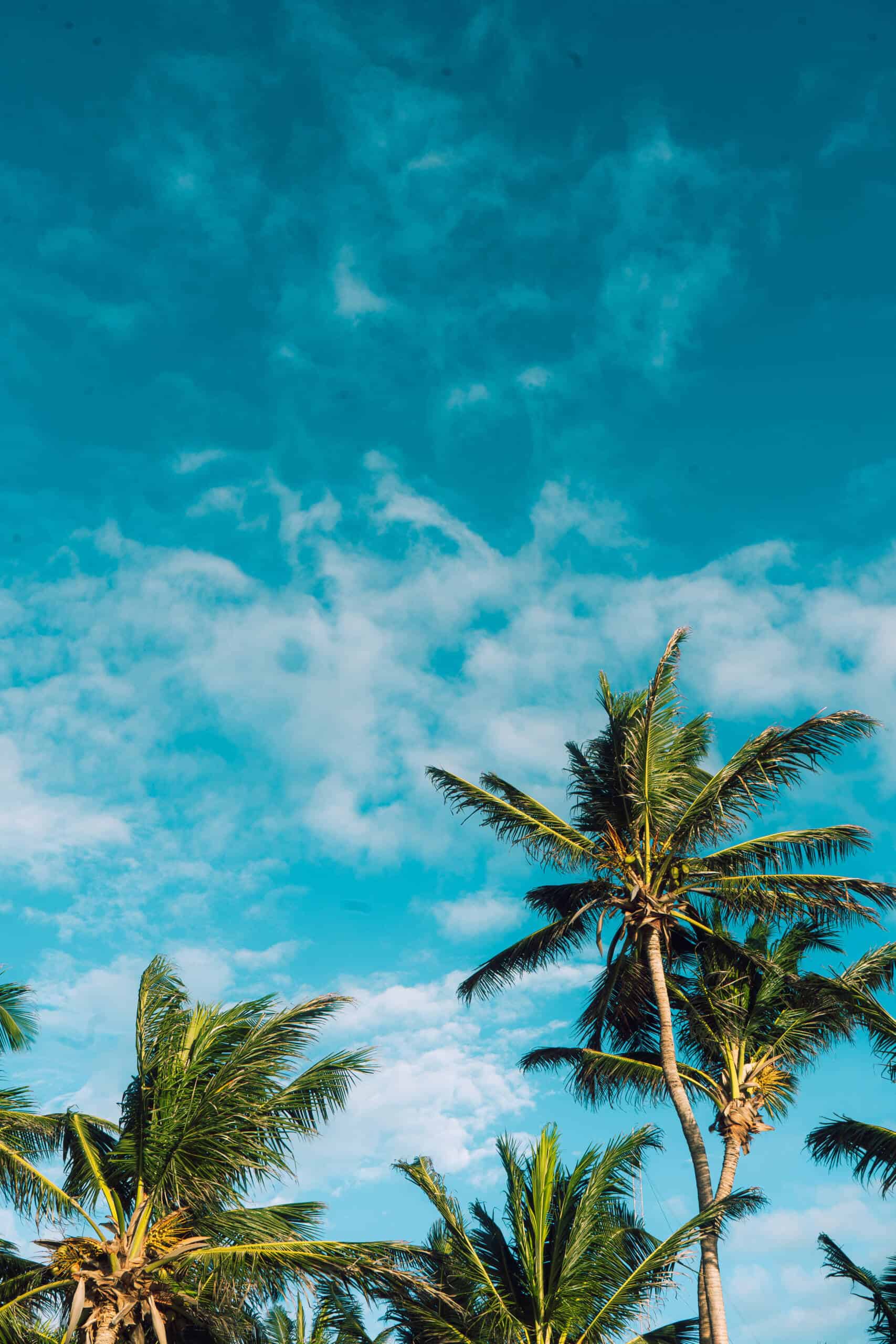 Tulum stock-01